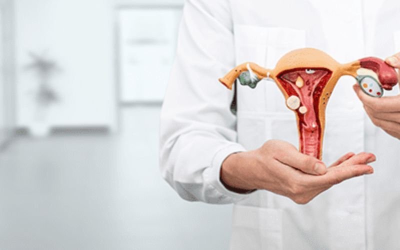 Gynecology & Obstetrics